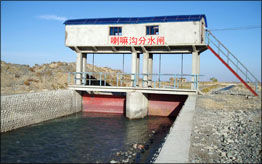 (jng)䰸